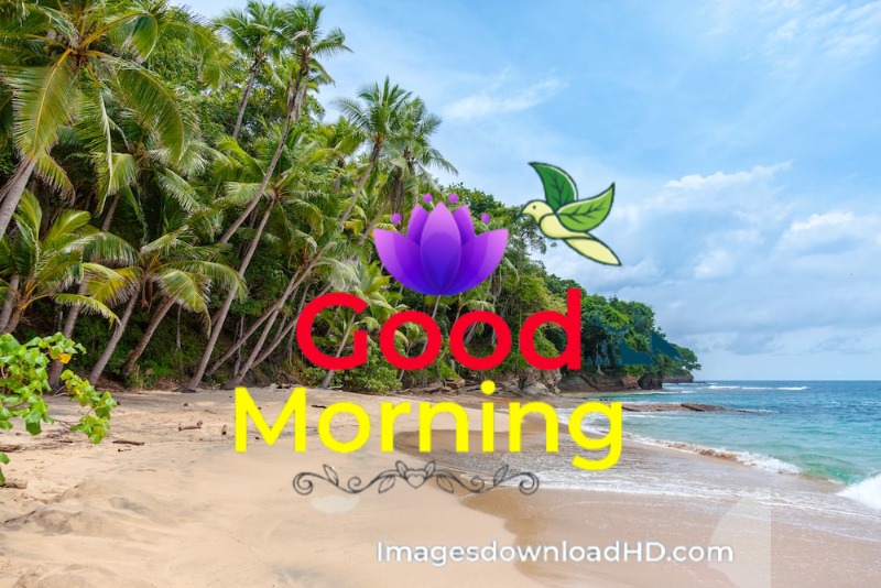 144+ Good Morning Nature Images 2023 68
