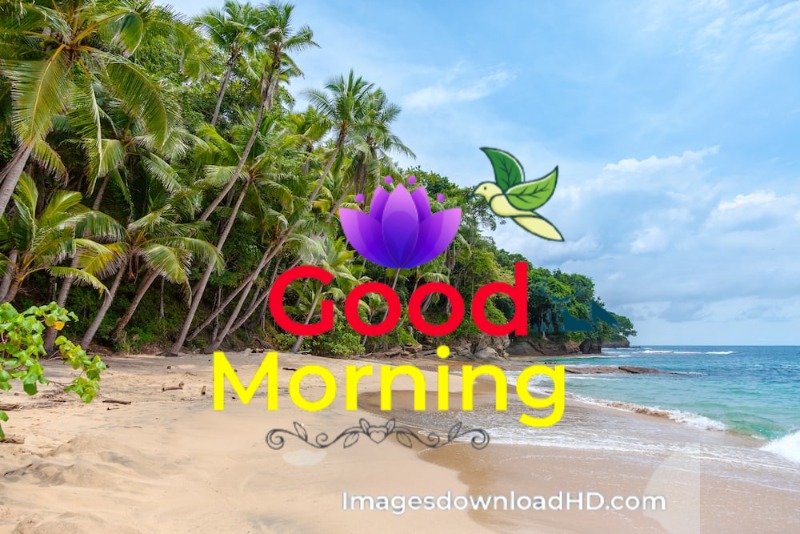 144+ Good Morning Nature Images 2023 96 144+ Good Morning Nature Images 2023 68