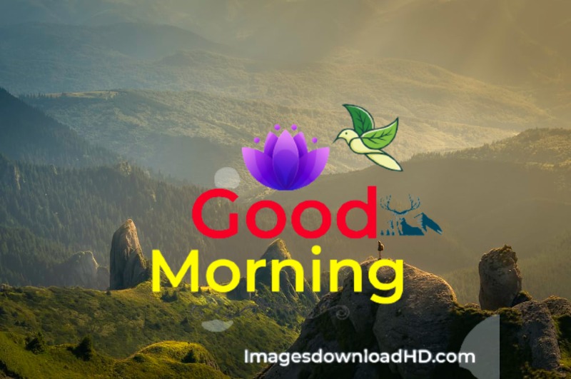 144+ Good Morning Nature Images 2023 10