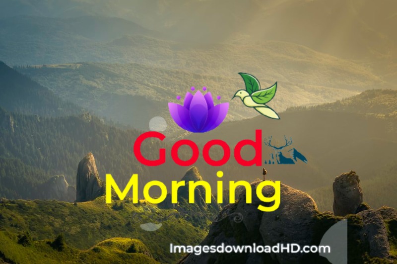 144+ Good Morning Nature Images 2023 10 144+ Good Morning Nature Images 2023 10