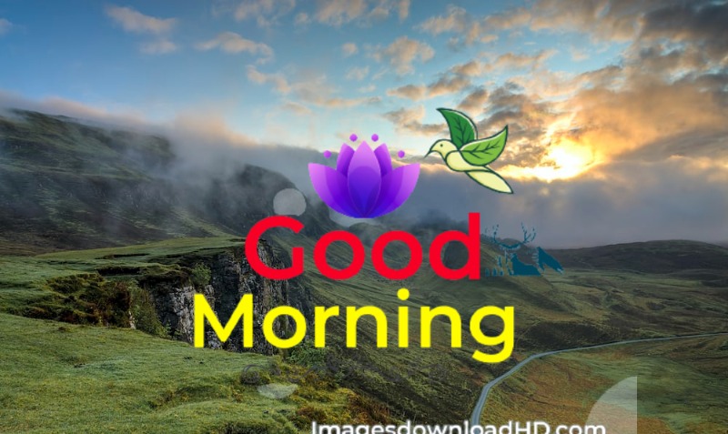 144+ Good Morning Nature Images 2023 11