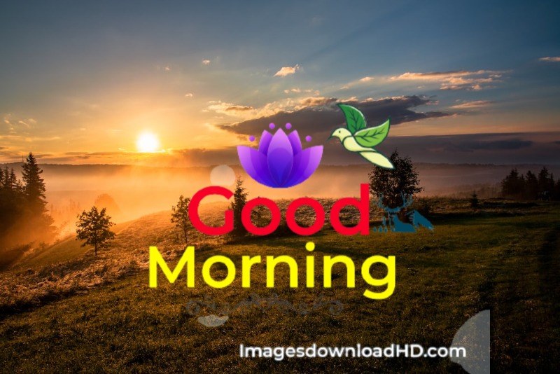 144+ Good Morning Nature Images 2023 16