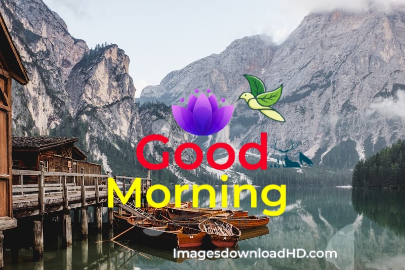 144+ Good Morning Nature Images 2023 22