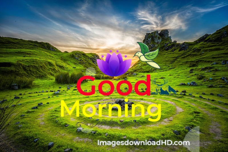 144+ Good Morning Nature Images 2023 9