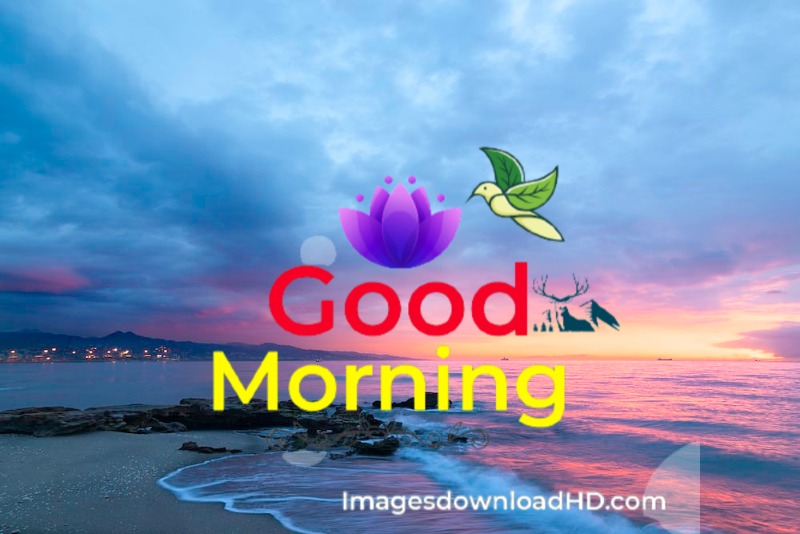 144+ Good Morning Nature Images 2023 17
