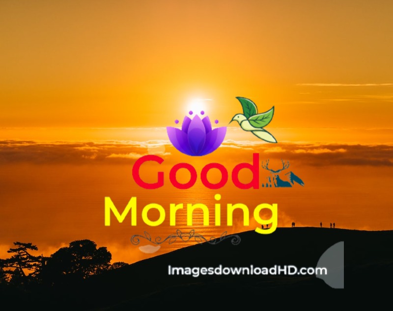 144+ Good Morning Nature Images 2023 1