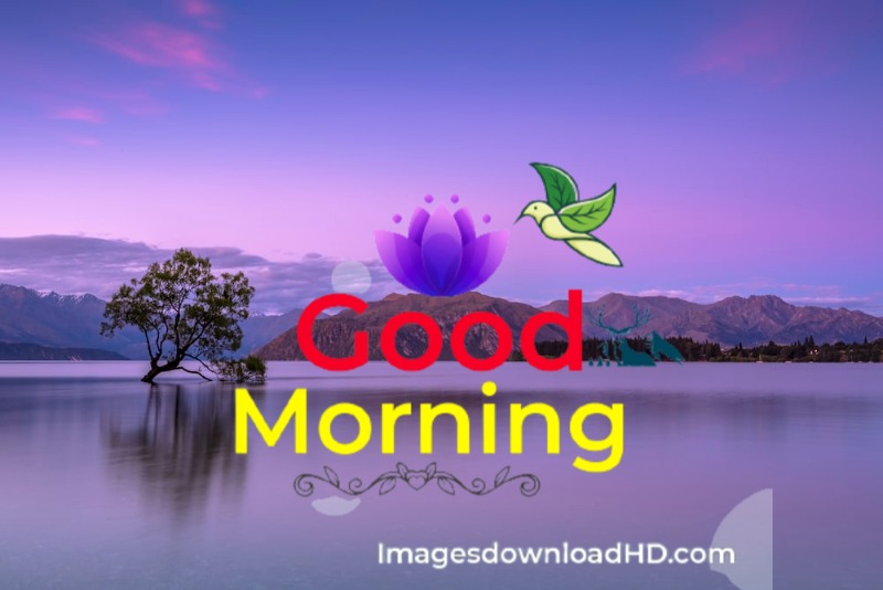 144+ Good Morning Nature Images 2023 65
