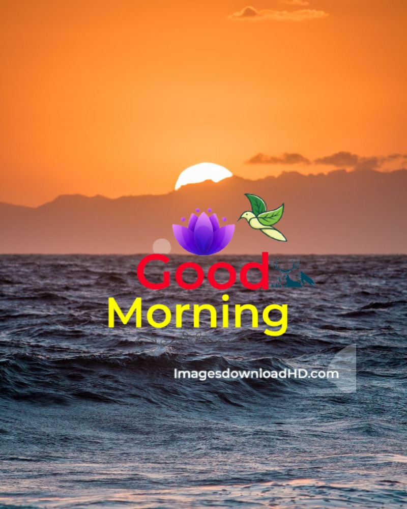 144+ Good Morning Nature Images 2023 25