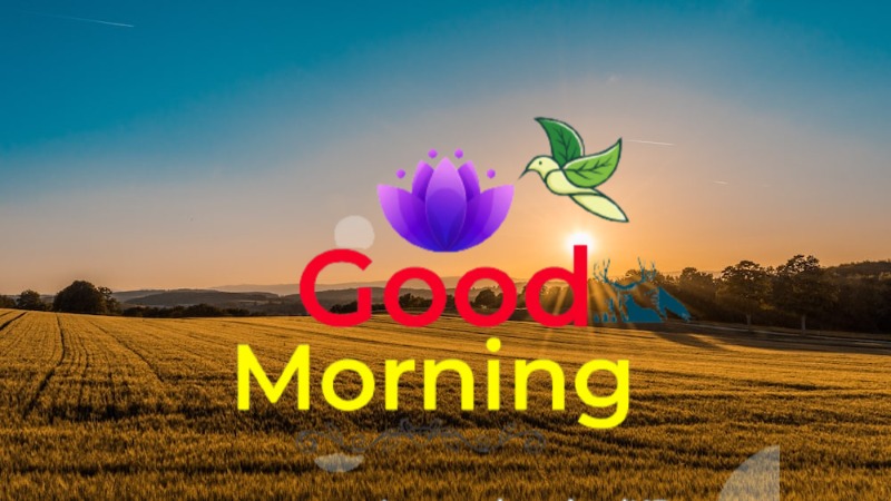 144+ Good Morning Nature Images 2023 15