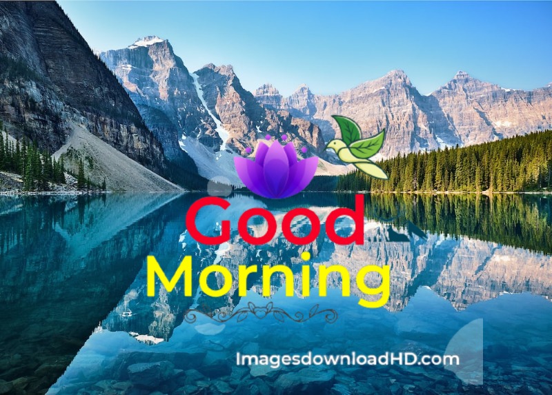 144+ Good Morning Nature Images 2023 53