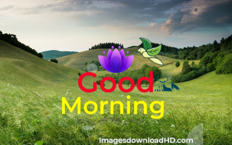 144+ Good Morning Nature Images 2023 47