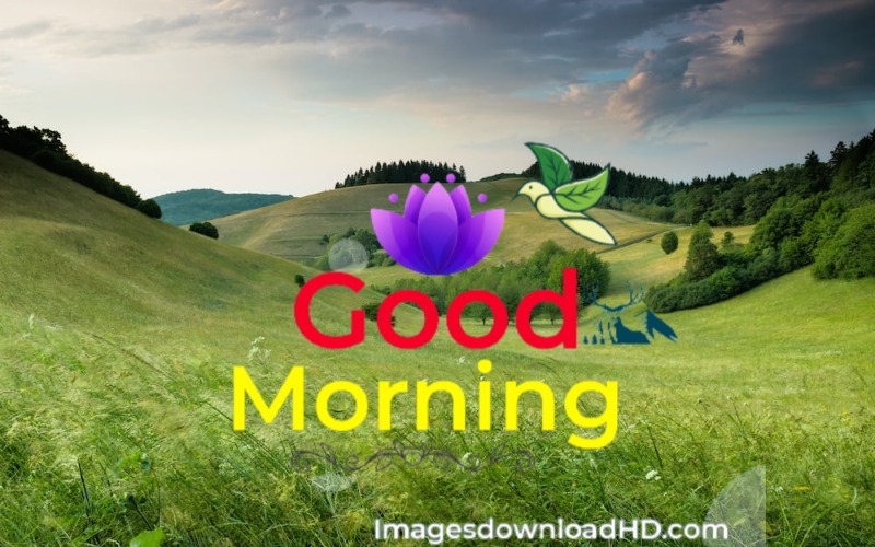 144+ Good Morning Nature Images 2023 74 144+ Good Morning Nature Images 2023 47