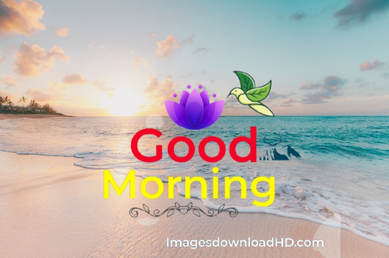 144+ Good Morning Nature Images 2023 36