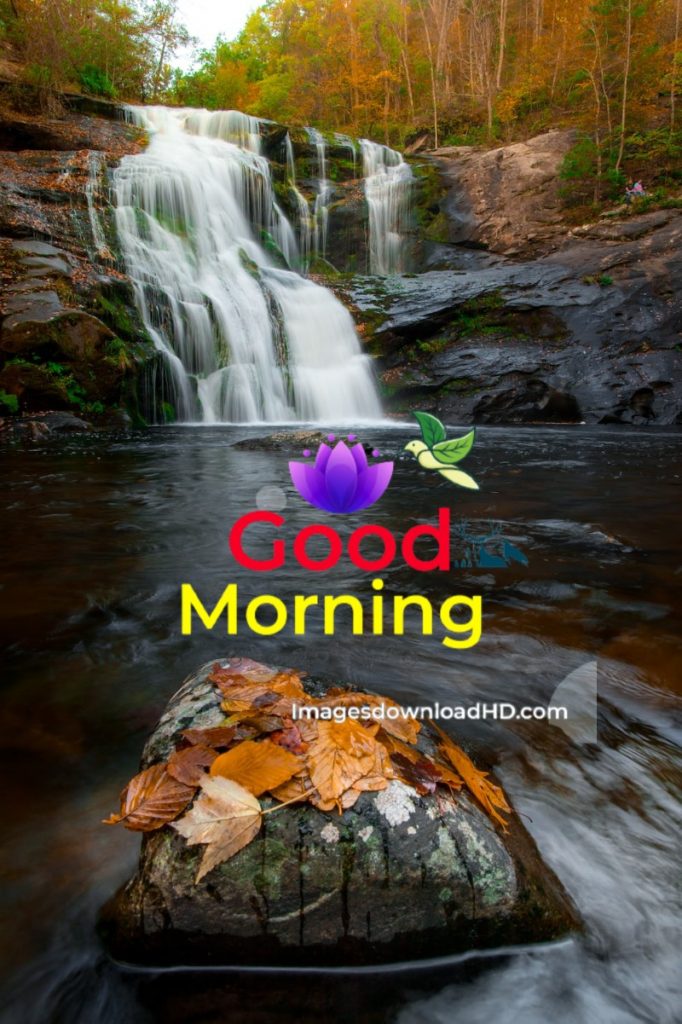 144+ Good Morning Nature Images 2023 49