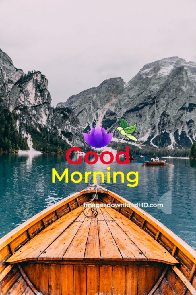 144+ Good Morning Nature Images 2023 62