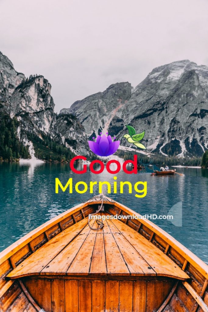 144+ Good Morning Nature Images 2023 90 144+ Good Morning Nature Images 2023 62