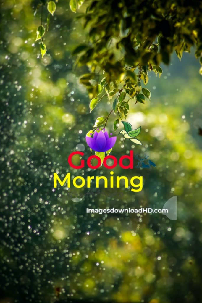 144+ Good Morning Nature Images 2023 13