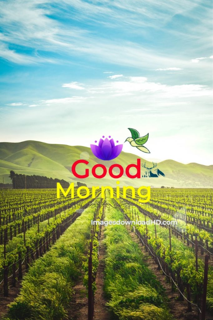 144+ Good Morning Nature Images 2023 66