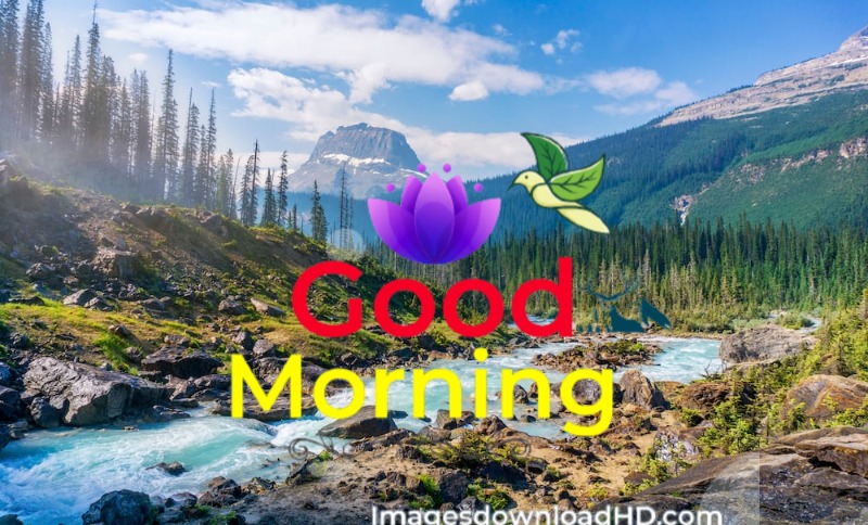 144+ Good Morning Nature Images 2023 46
