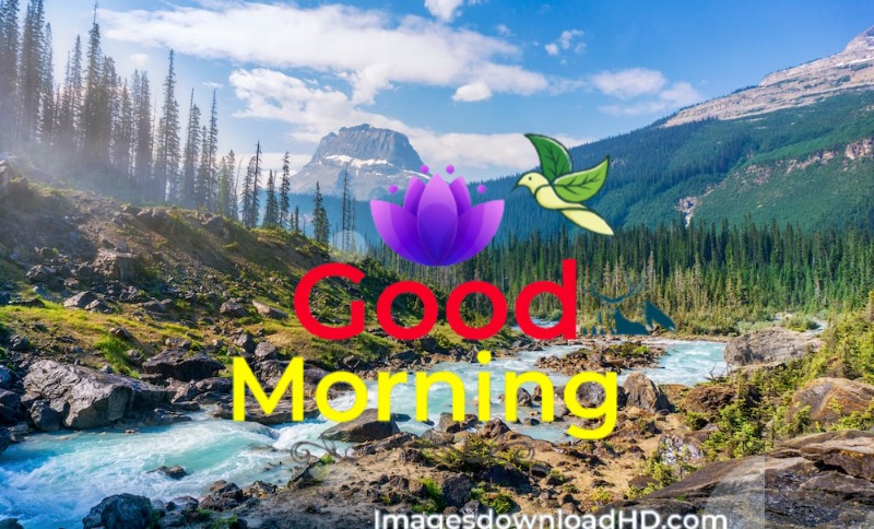 144+ Good Morning Nature Images 2023 73 144+ Good Morning Nature Images 2023 46
