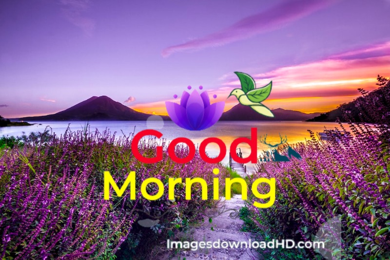 144+ Good Morning Nature Images 2023 52