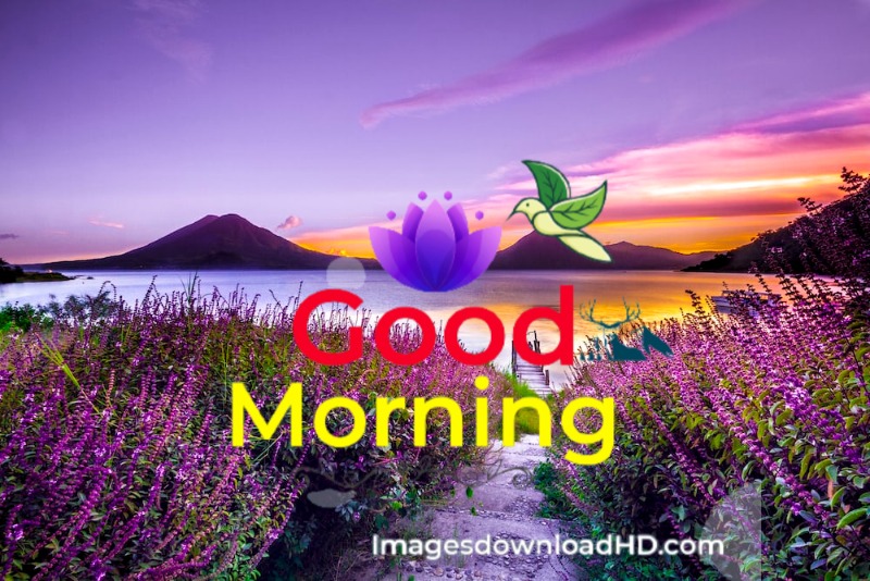 144+ Good Morning Nature Images 2023 80 144+ Good Morning Nature Images 2023 52