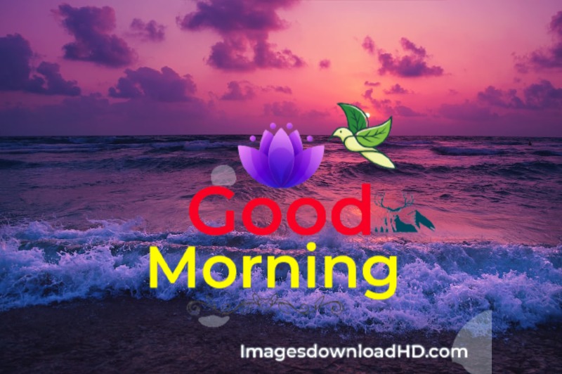 144+ Good Morning Nature Images 2023 59