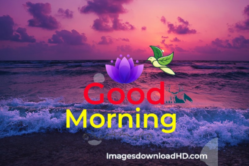 144+ Good Morning Nature Images 2023 87 144+ Good Morning Nature Images 2023 59