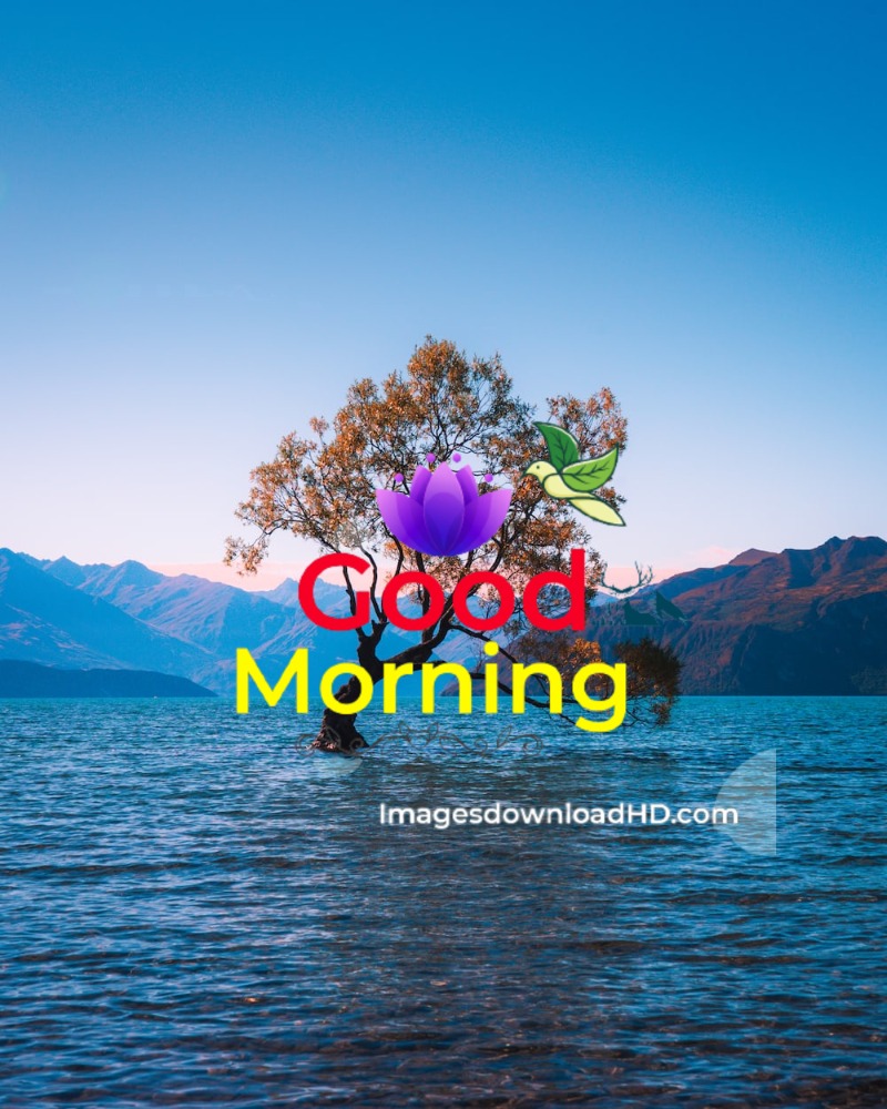144+ Good Morning Nature Images 2023 61