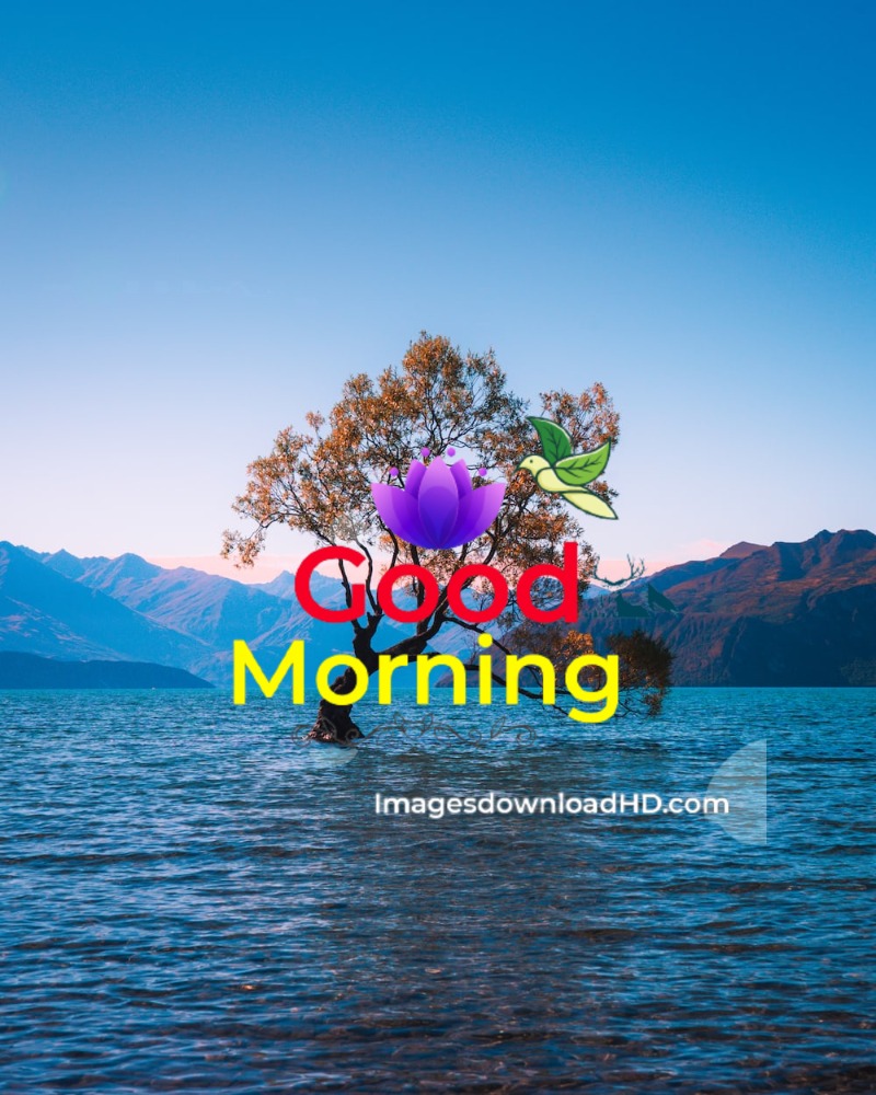 144+ Good Morning Nature Images 2023 89 144+ Good Morning Nature Images 2023 61