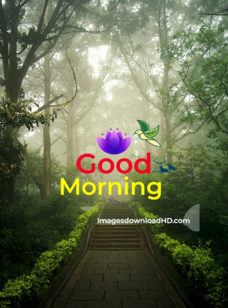 144+ Good Morning Nature Images 2023 51