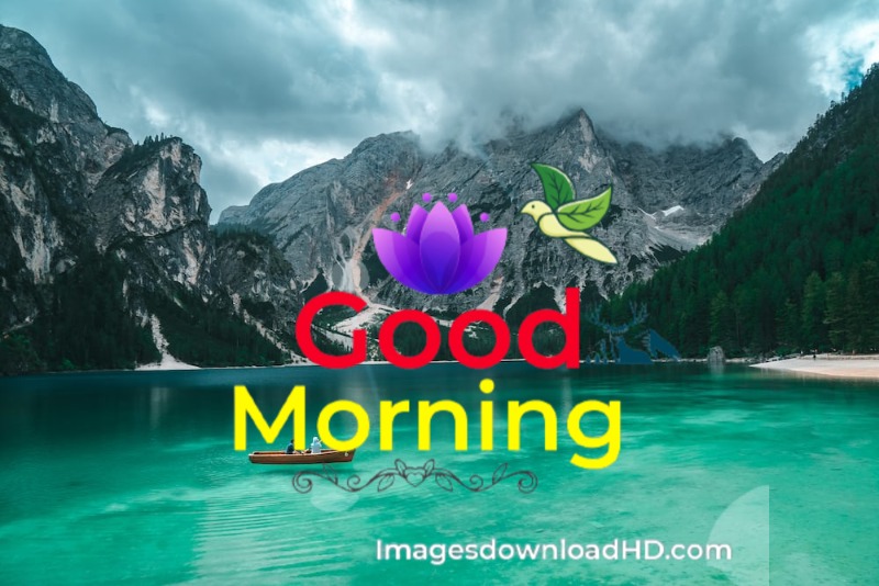 144+ Good Morning Nature Images 2023 54