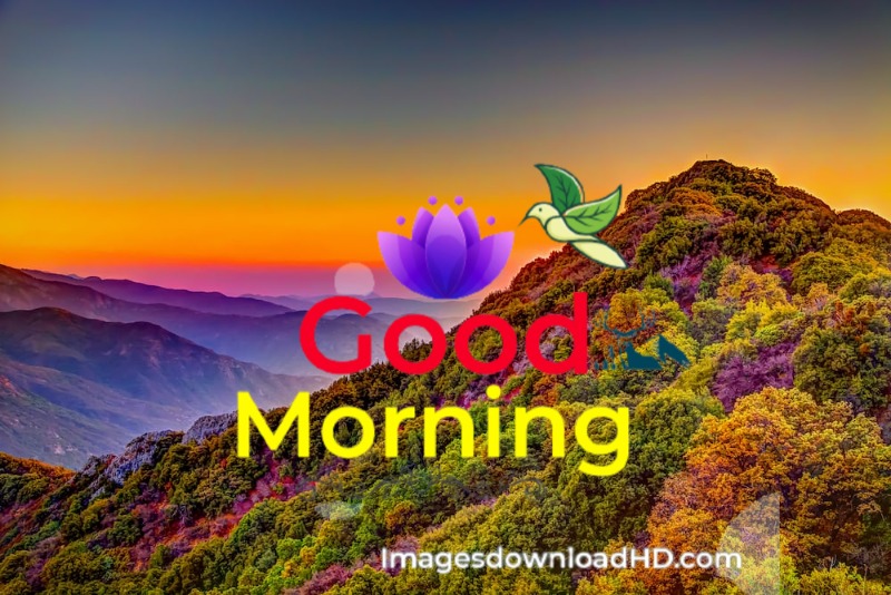 144+ Good Morning Nature Images 2023 40