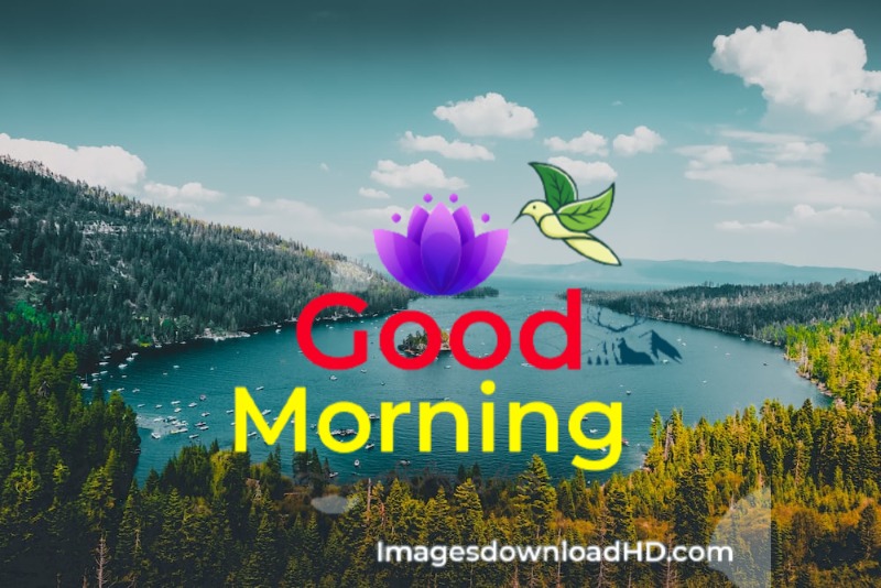 144+ Good Morning Nature Images 2023 24