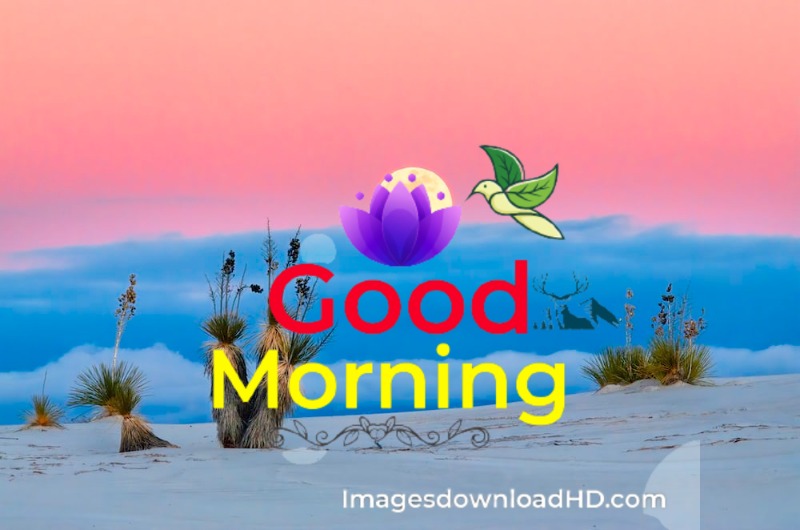 144+ Good Morning Nature Images 2023 57