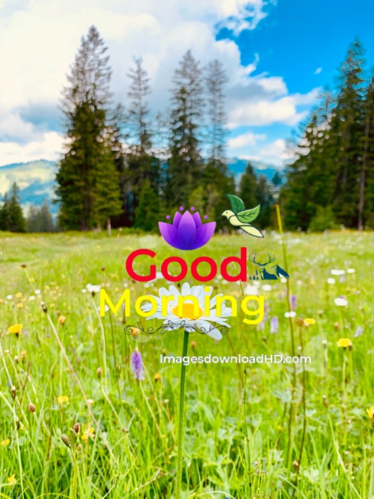 144+ Good Morning Nature Images 2023 98 144+ Good Morning Nature Images 2023 70
