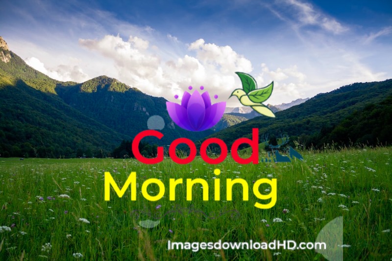 144+ Good Morning Nature Images 2023 45