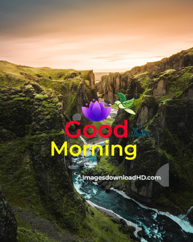 144+ Good Morning Nature Images 2023 95 144+ Good Morning Nature Images 2023 67
