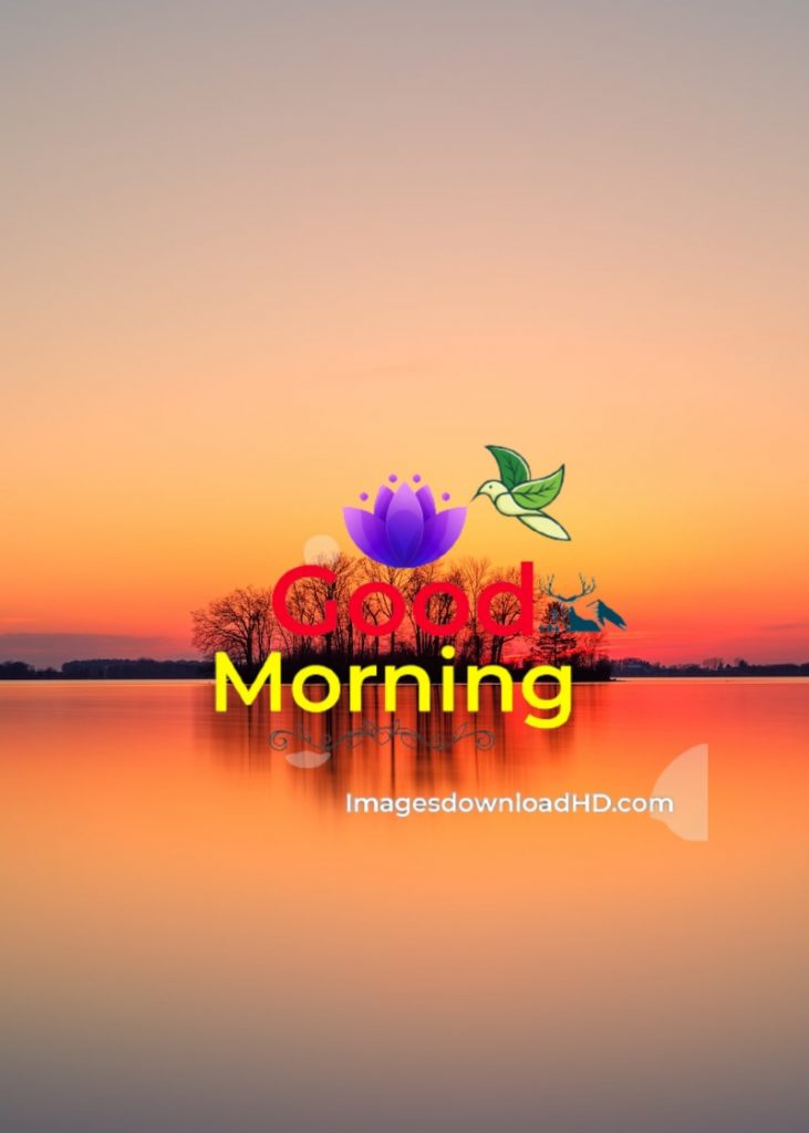 144+ Good Morning Nature Images 2023 12