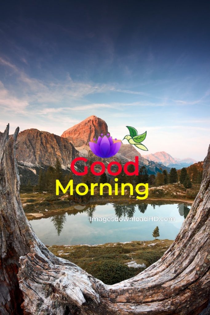 144+ Good Morning Nature Images 2023 64
