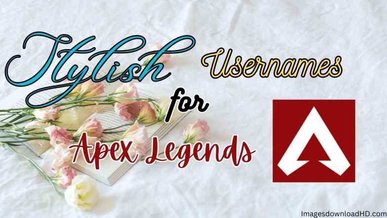 701+ Latest Usernames for Apex Legends 2023 2 stylish usernames for apex legends