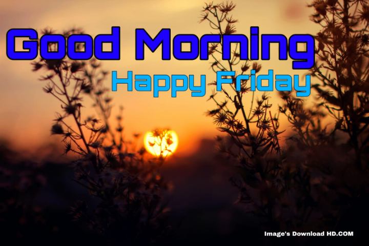 144+ Latest Good Morning Friday Images 2023 1