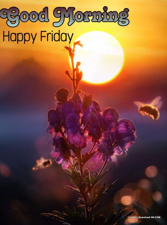 144+ Latest Good Morning Friday Images 2023 8 144+ Latest Good Morning Friday Images 2023 7