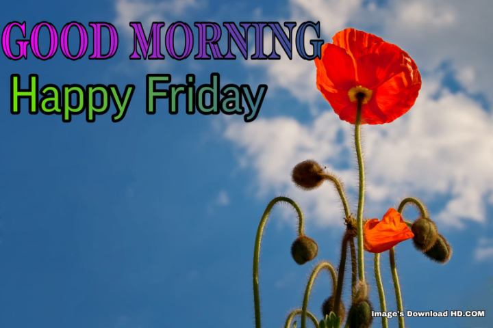 Good Morning Friday Images