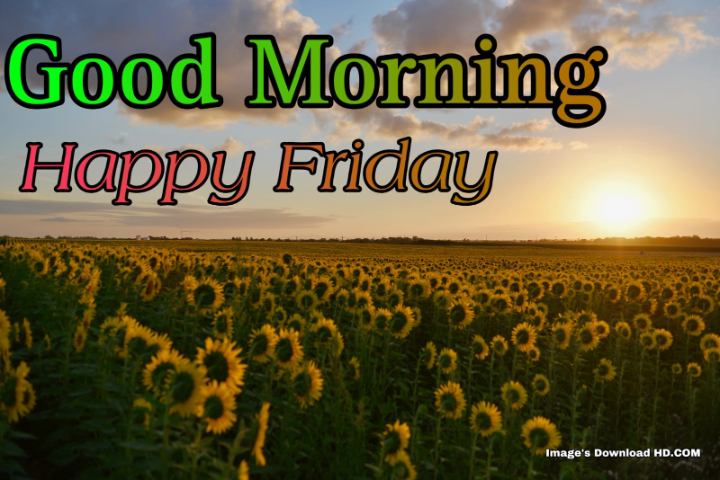 144+ Latest Good Morning Friday Images 2023 9