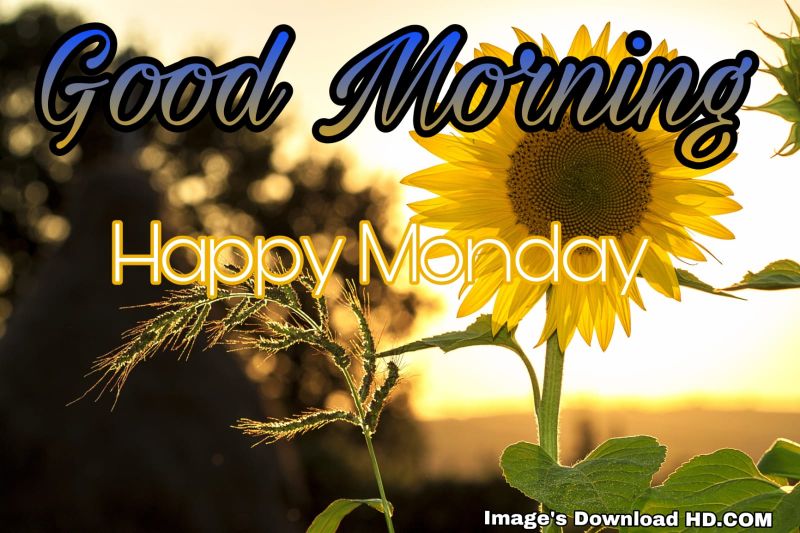 122+ Good Morning Monday Images 2023 3