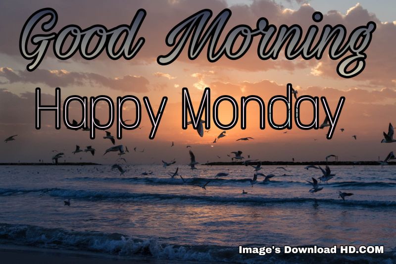 122+ Good Morning Monday Images 2023 5
