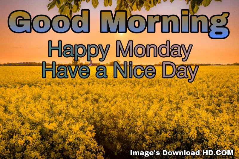 122+ Good Morning Monday Images 2023 6