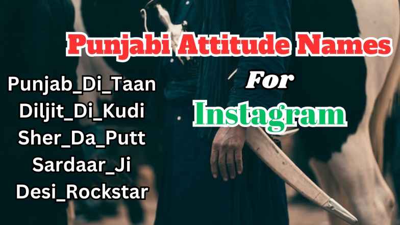 Punjabi Attitude Names for Instagram